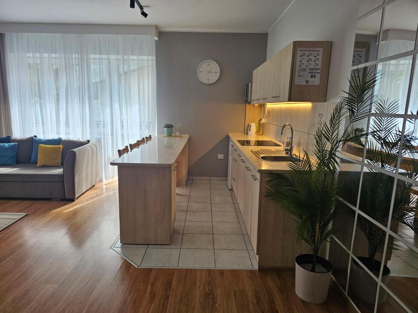 זקופאנה Apartament Rema W Centrum Apartzakop מראה חיצוני תמונה
