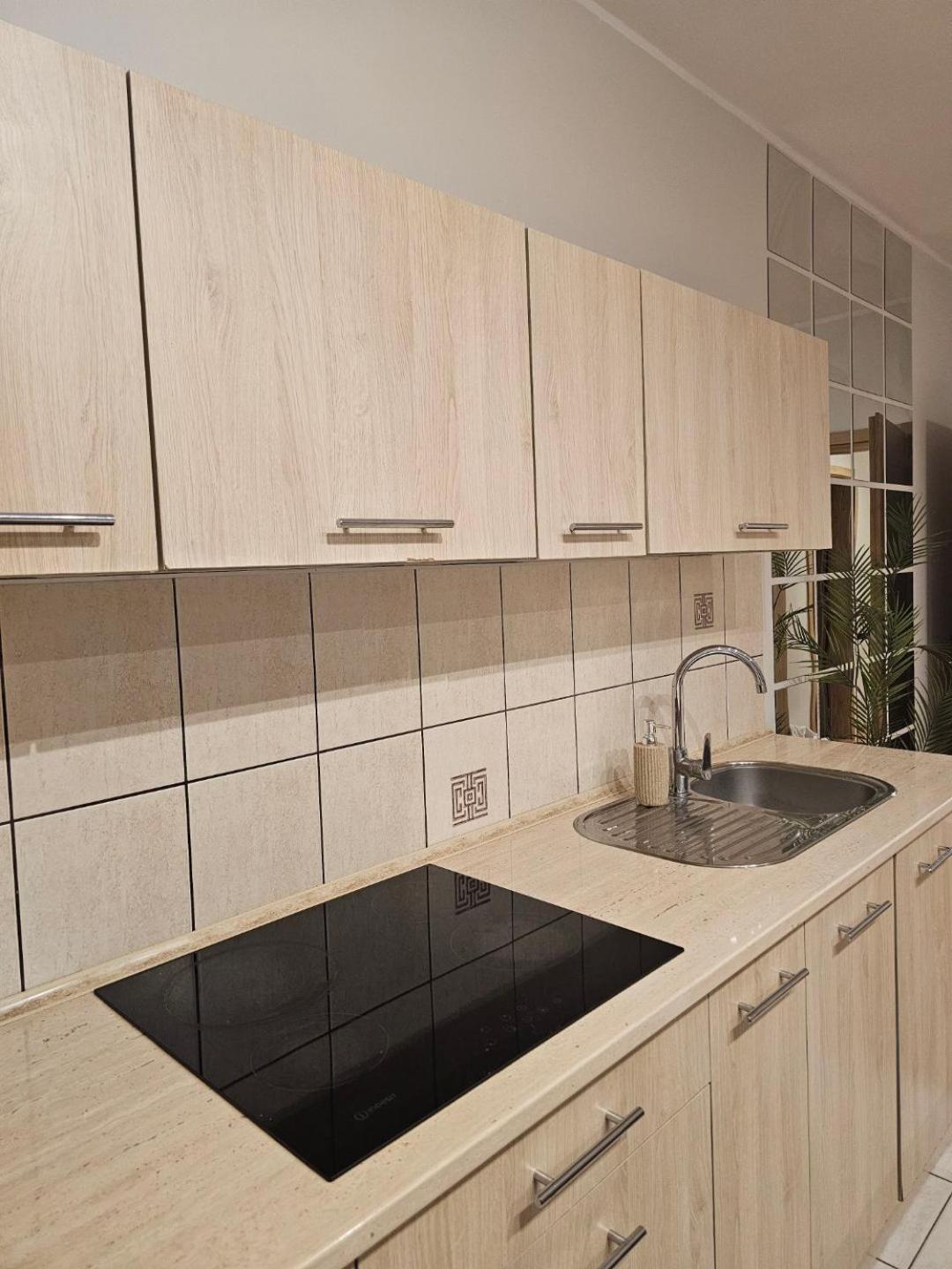 זקופאנה Apartament Rema W Centrum Apartzakop מראה חיצוני תמונה