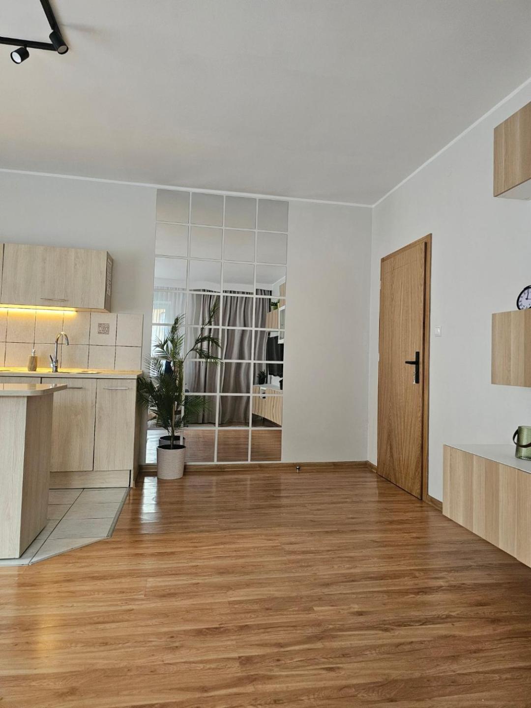 זקופאנה Apartament Rema W Centrum Apartzakop מראה חיצוני תמונה