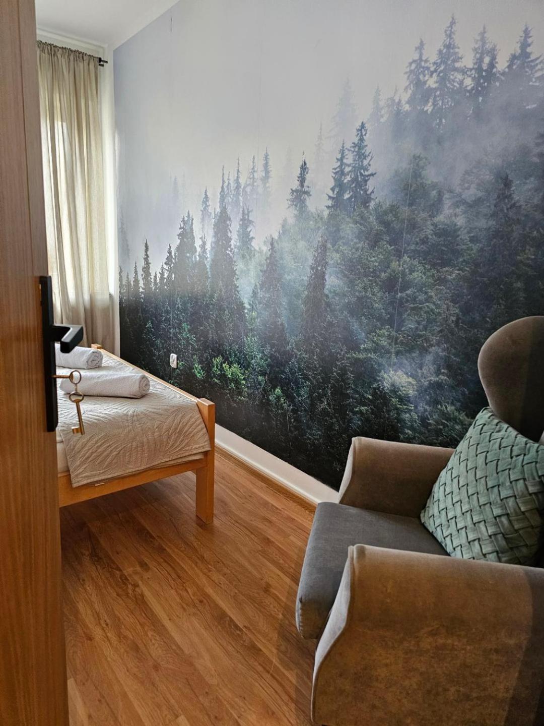 זקופאנה Apartament Rema W Centrum Apartzakop מראה חיצוני תמונה